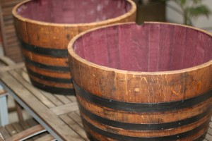 Planters of oak barrels in Barcelona