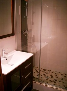 Shower screen with glass and stainless steel