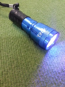 Ultraviolet light to activate the adhesive